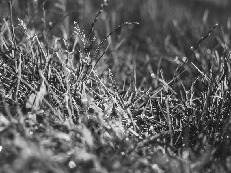 sudoku level unlock screenshot 2